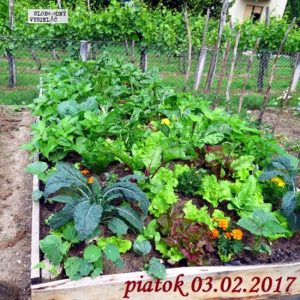 Riešenia a alternatívy 05