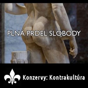 Konverzy