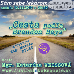 Sám sebe lekárom 68 (Cesta podľa Brandon Bays)