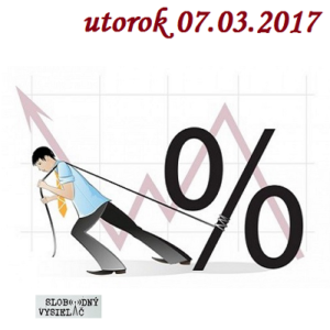 Finančné zdravie 28