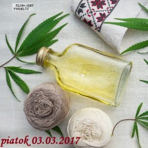 Riešenia a alternatívy 09