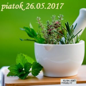 Riešenia a alternatívy 21 1 Riešenia a alternatívy 21