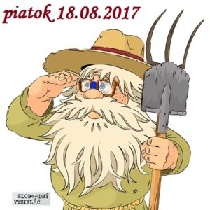 Riešenia a alternatívy 33
