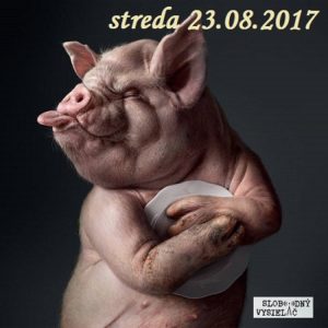 Verejné tajomstvá 125