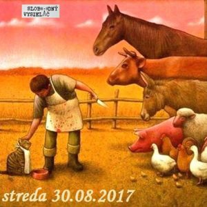 Verejné tajomstvá 126