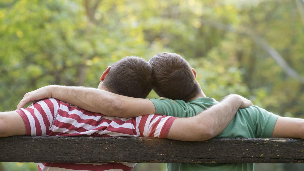 Gay pohlavia ošípaných