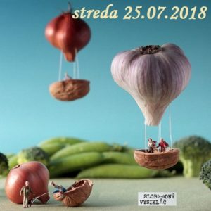 Verejné tajomstvá 217 1 Verejné tajomstvá 217