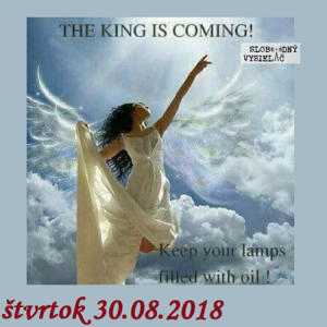 Spirituálny kapitál 217 1 Spirituálny kapitál 217
