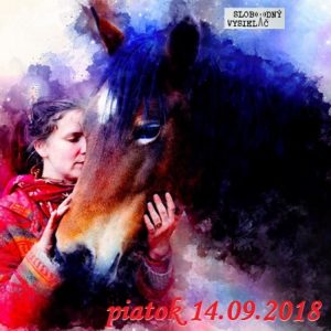 Riešenia a alternatívy 85 1 Riešenia a alternatívy 85