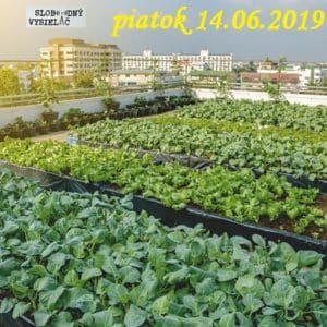 Riešenia a alternatívy 121 (repríza)