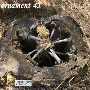 Ornament 43