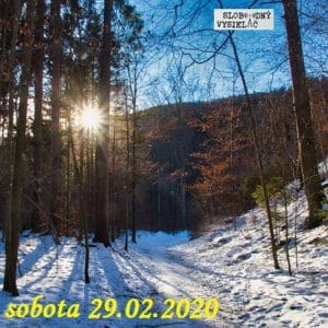 Volanie lesa 28