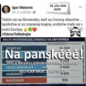 Na panské 30/2020 (humoristický týždenník) 1 Na panské 30/2020 (humoristický týždenník)