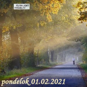Finančné zdravie 111