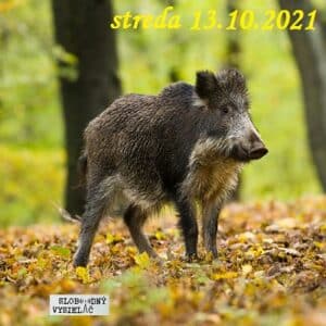 V prvej línii